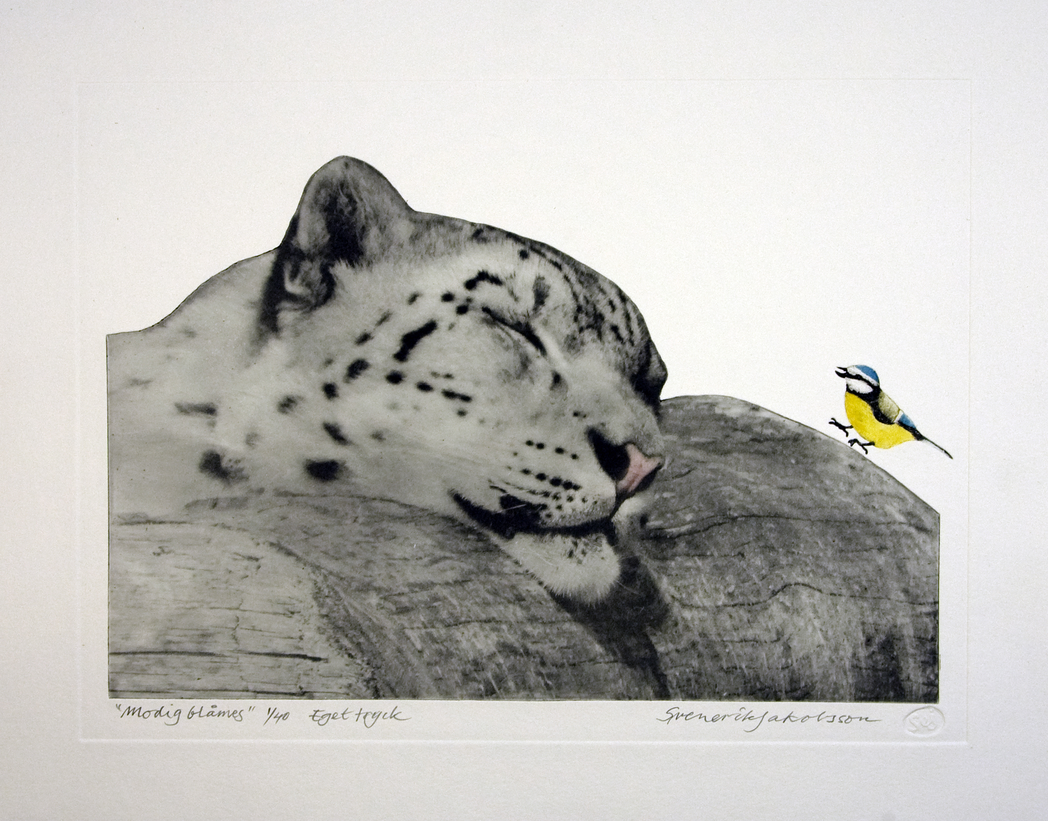 bild_utst_svenerik_j